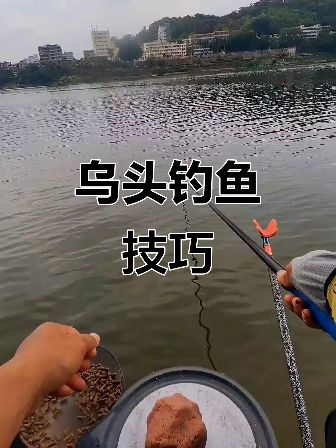乌头鱼喜腥味,拉饵更佳;调钓2-3目,钩子选大些