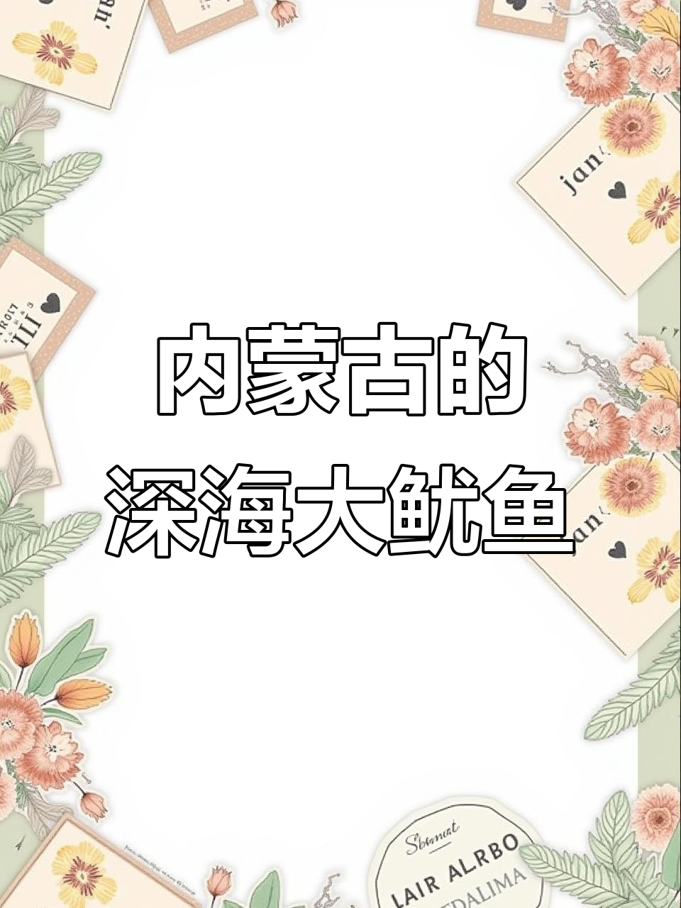 内蒙古竟然有深海大鱿鱼,真是让人惊喜!