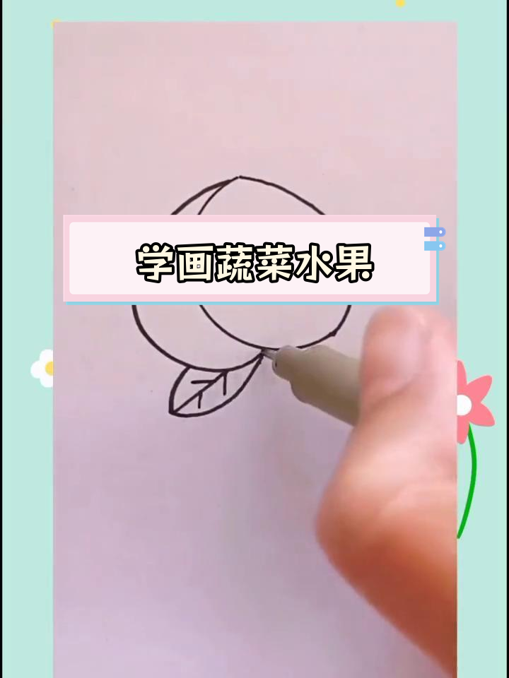 简单蔬果简笔画教程,轻松学会