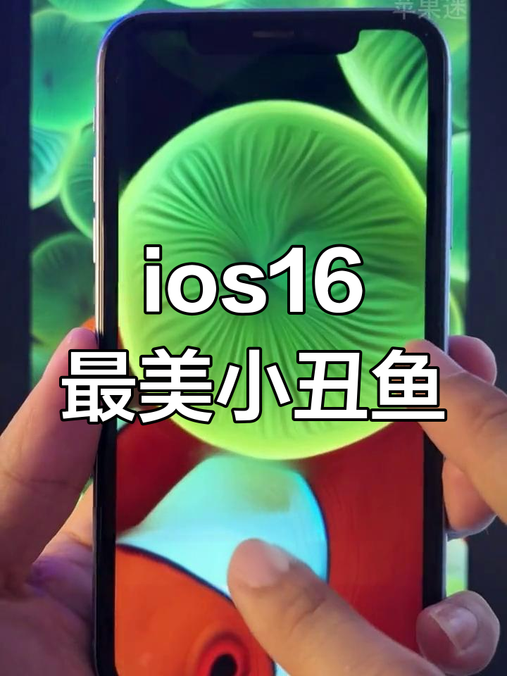 小丑鱼壁纸回归,细节更逼真