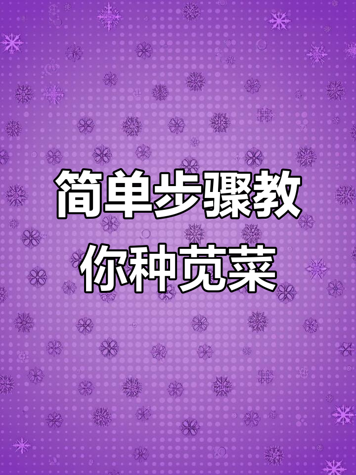 苋菜种植技巧:从播种到发芽全攻略