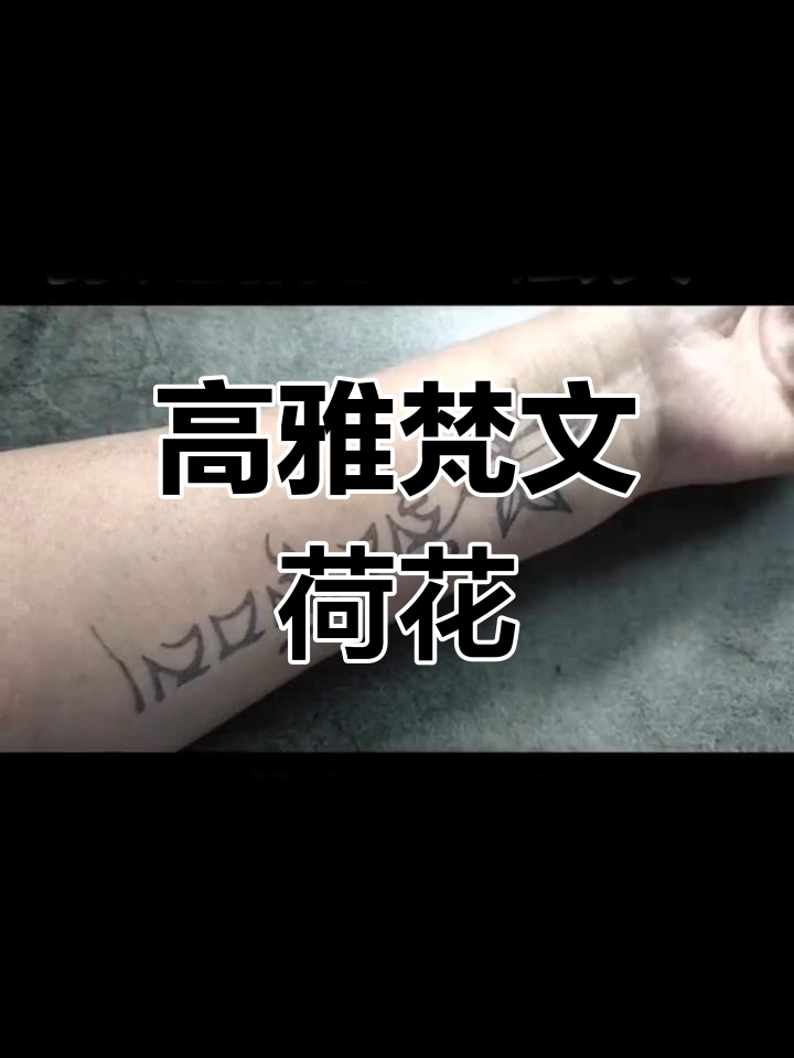 梵文荷花草本纹身,精致高雅