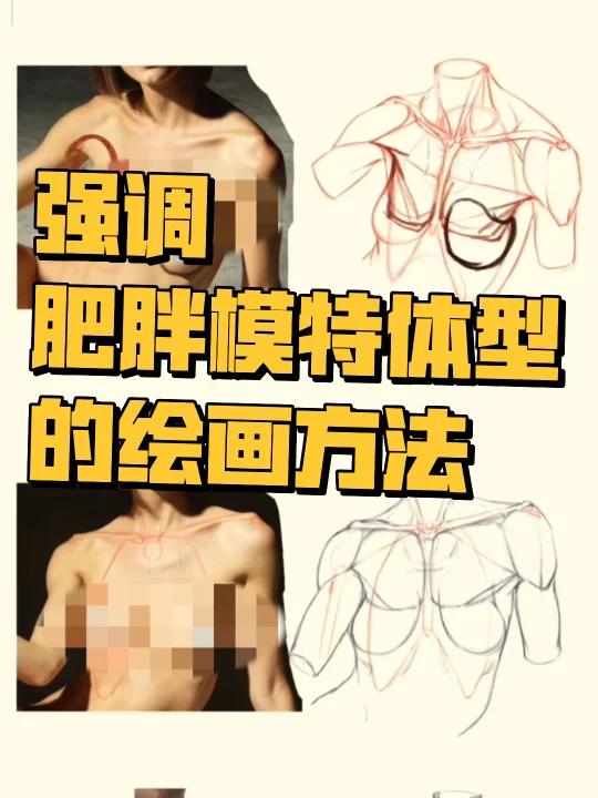 如何在绘画中处理不明显的肌肉结构!