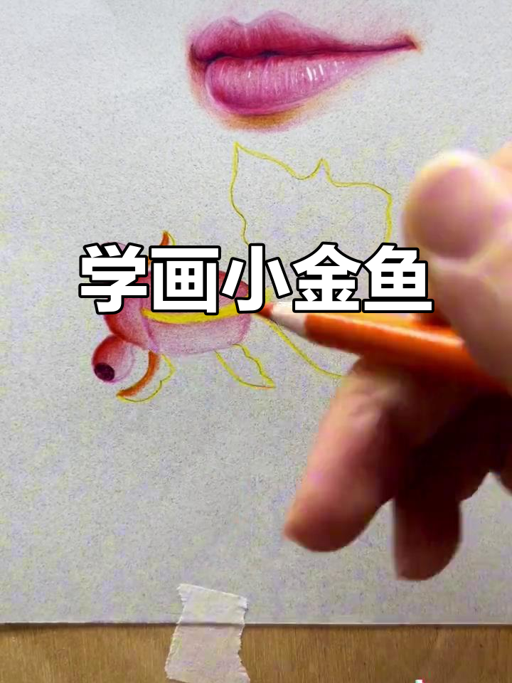 彩铅画可爱金鱼，步骤详解零基础也能轻松上手
