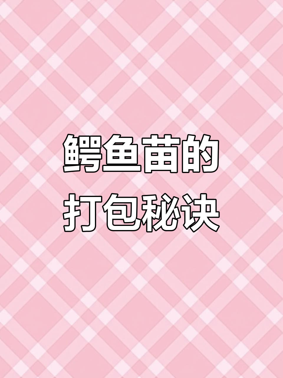 小鳄鱼宝宝打包全过程,安全运输全靠这些技巧