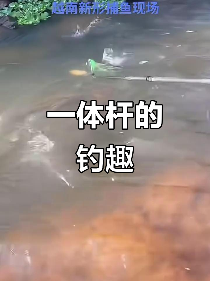 钓鱼人的快乐,就是这么简单!一体杆带来的轻松体验