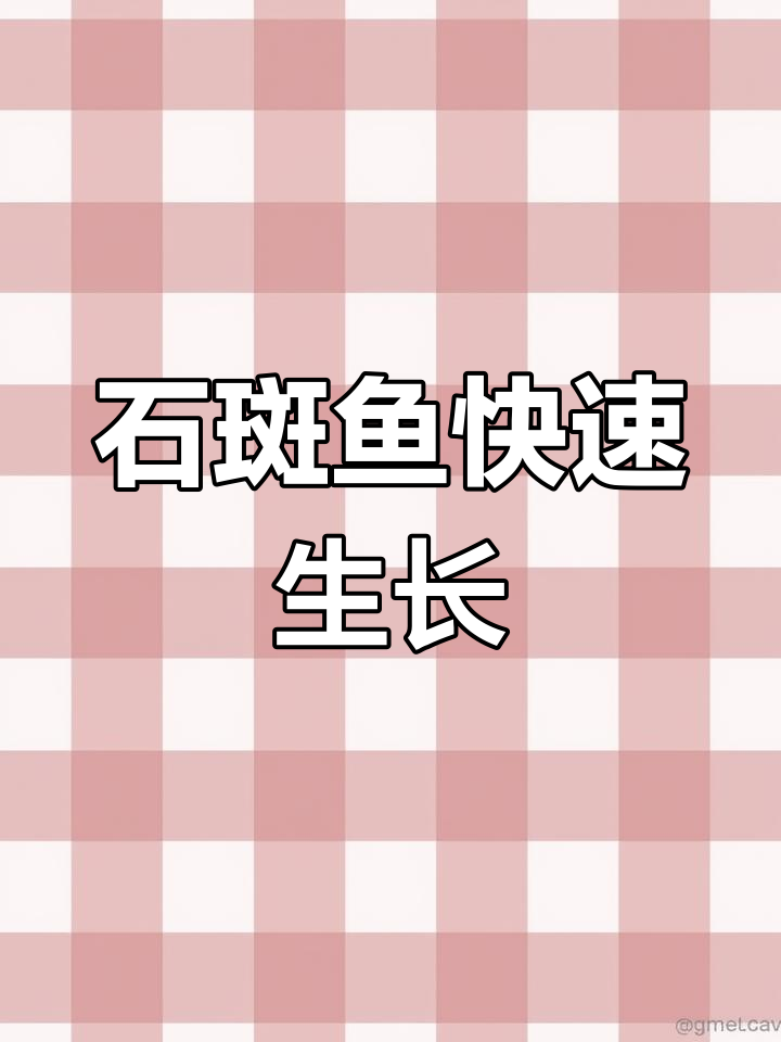 淡水石斑鱼养殖周期揭秘,最快4个月上水