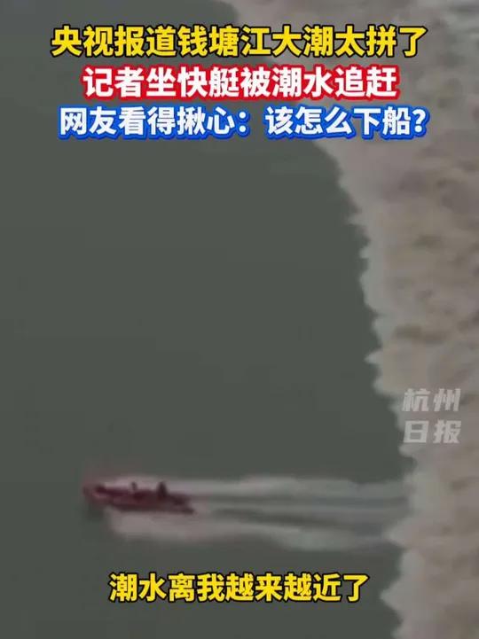 央视记者报道钱塘江大潮太拼了,观众直呼看得揪心!