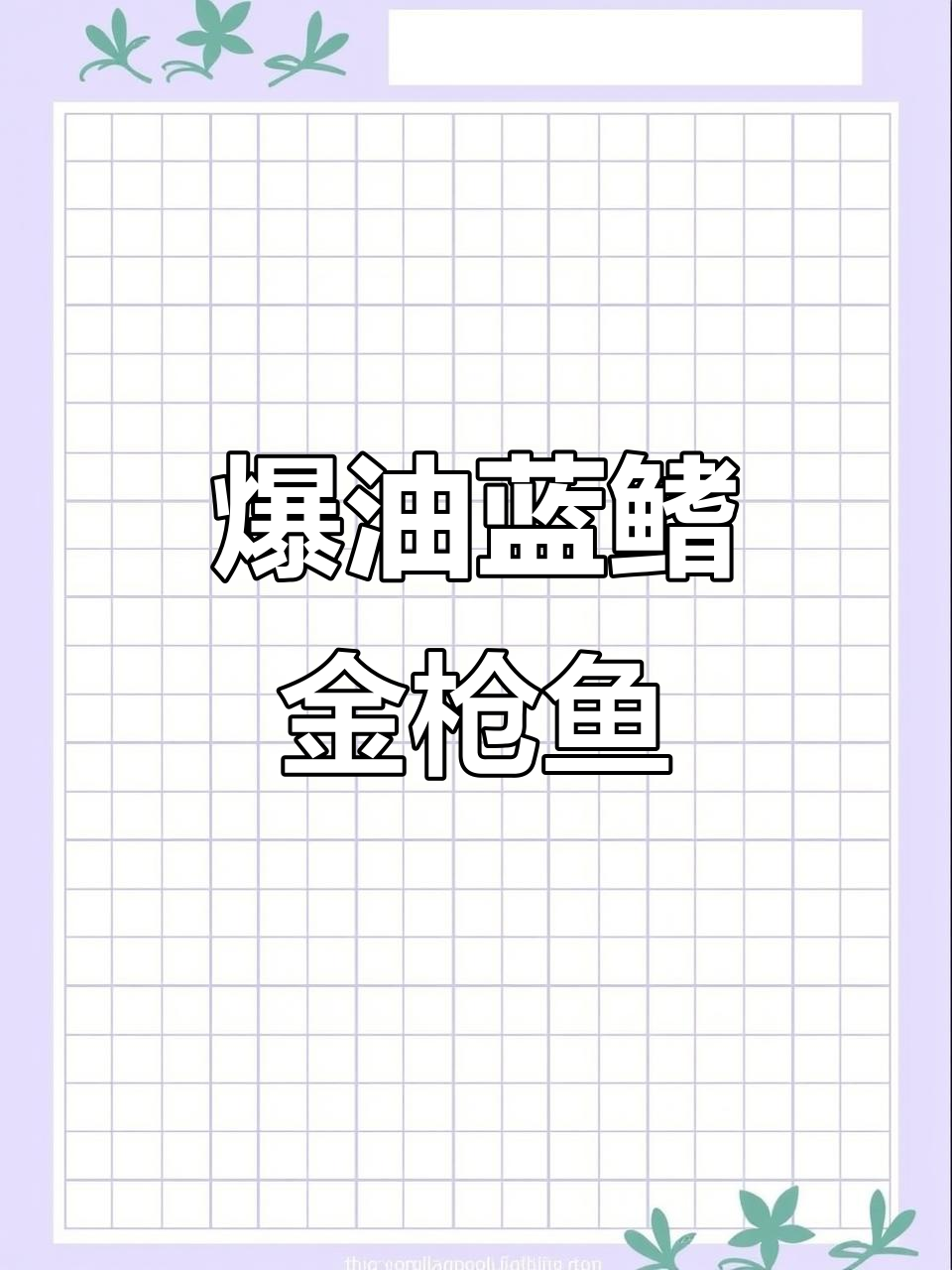 蓝鳍金枪鱼大腹中腹全体验，油脂丰富超满足