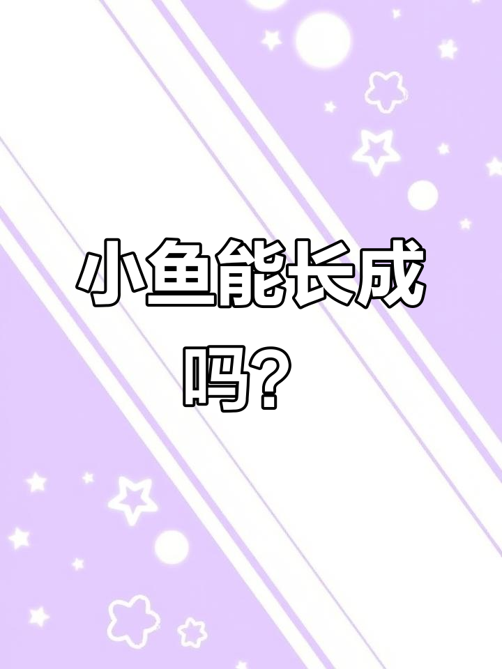魔门斯卡神仙鱼成长揭秘:小鱼能否包肚,动线问题解析
