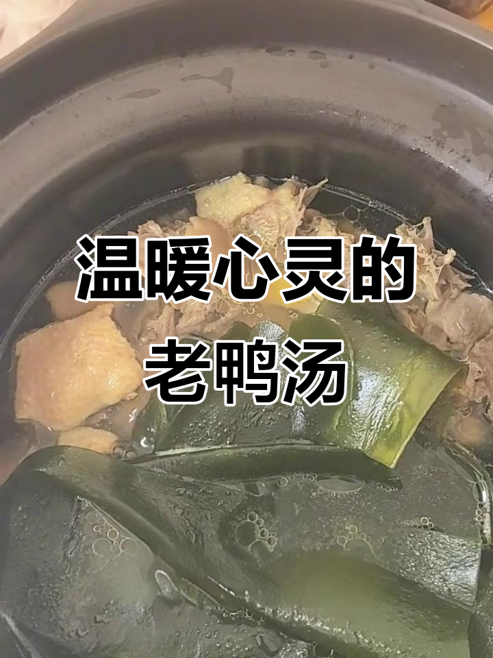 一碗老鸭汤,暖心又暖胃,冬瓜海带炖出家的味道