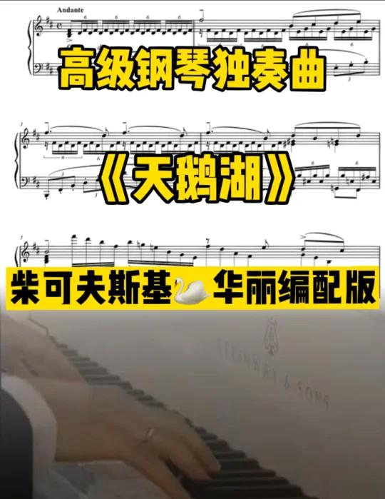 柴可夫斯基天鹅湖|高级华丽编配独奏版