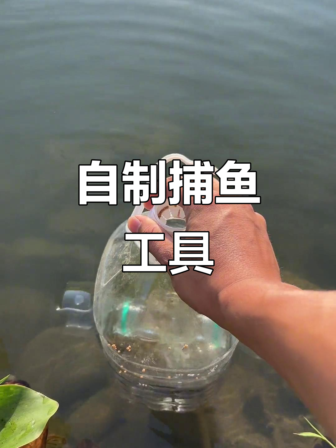 废弃瓶子变捕鱼器,挑战小溪里的鱼儿