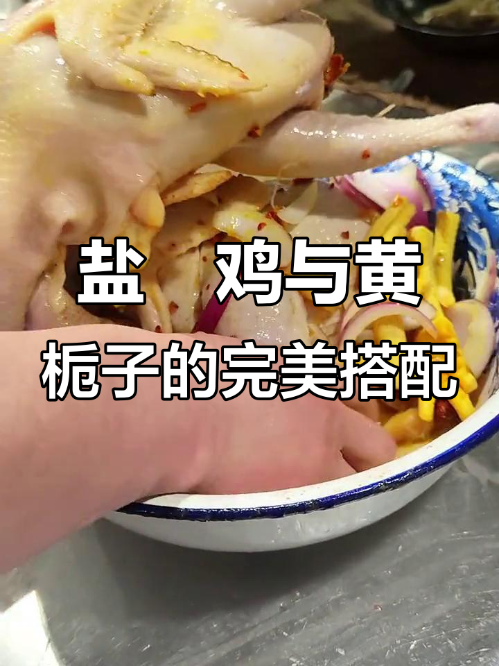 用盐焗鸡粉腌制鸡肉,黄栀子泡水让颜色更诱人
