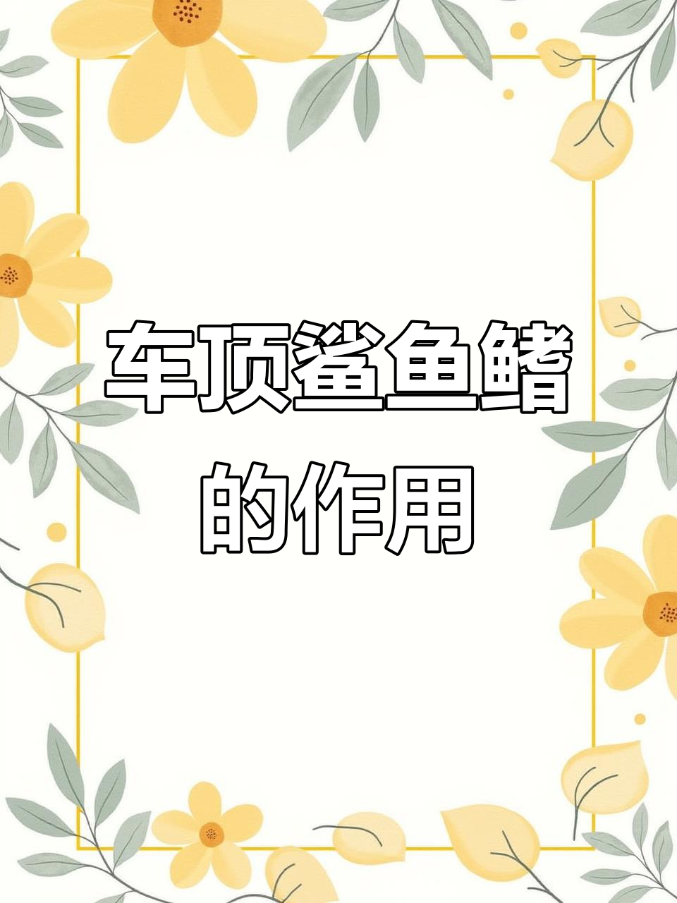 鲨鱼鳍的隐藏作用,高速行驶更省油