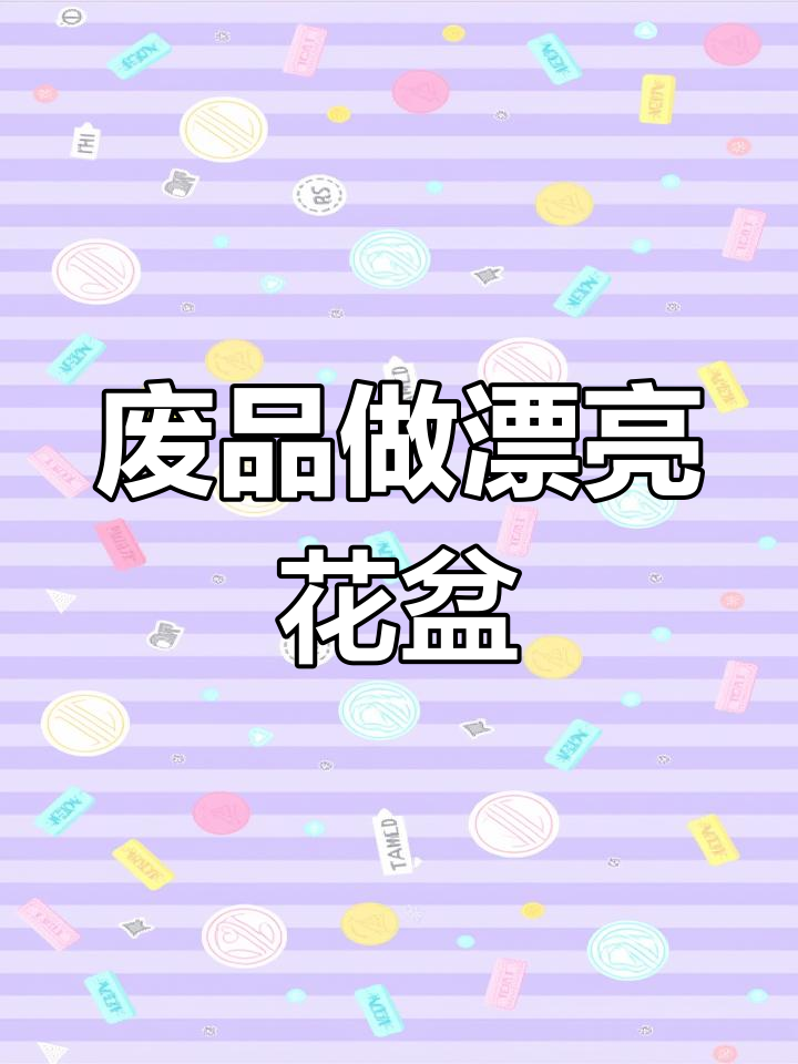 废旧塑料瓶变美丽花盆,简单步骤教你DIY多肉植物盆栽