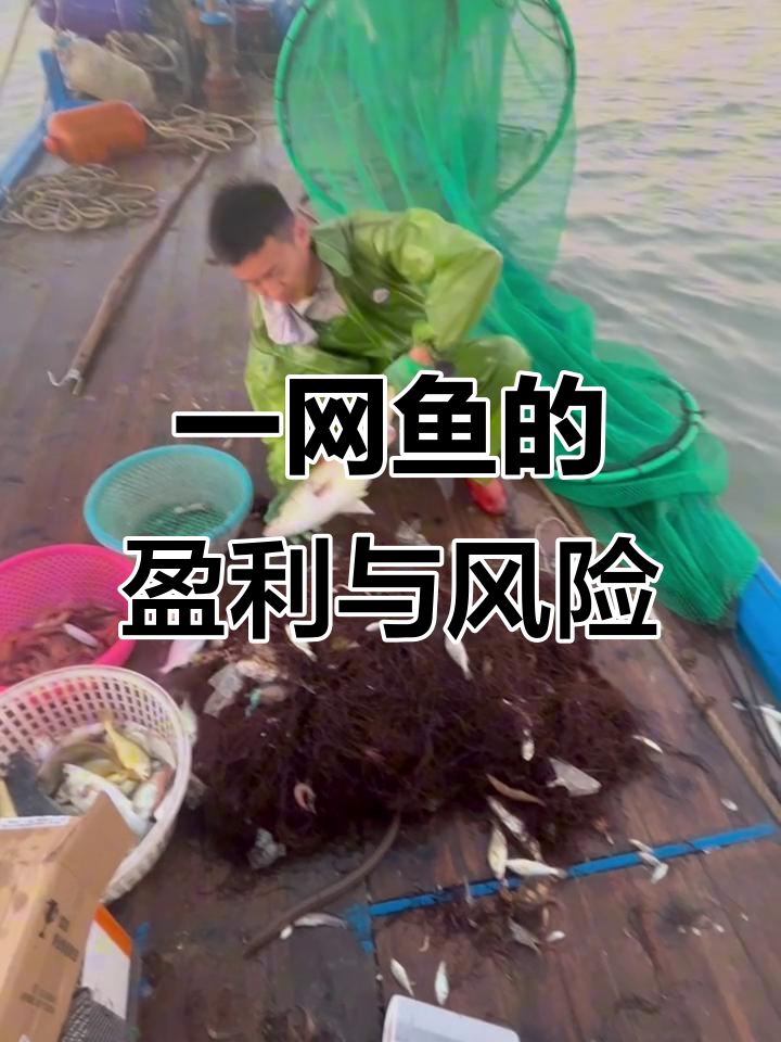 渔民捕捞日常:一网鱼能赚多少钱,黑鲷值钱但黄花鱼价格差
