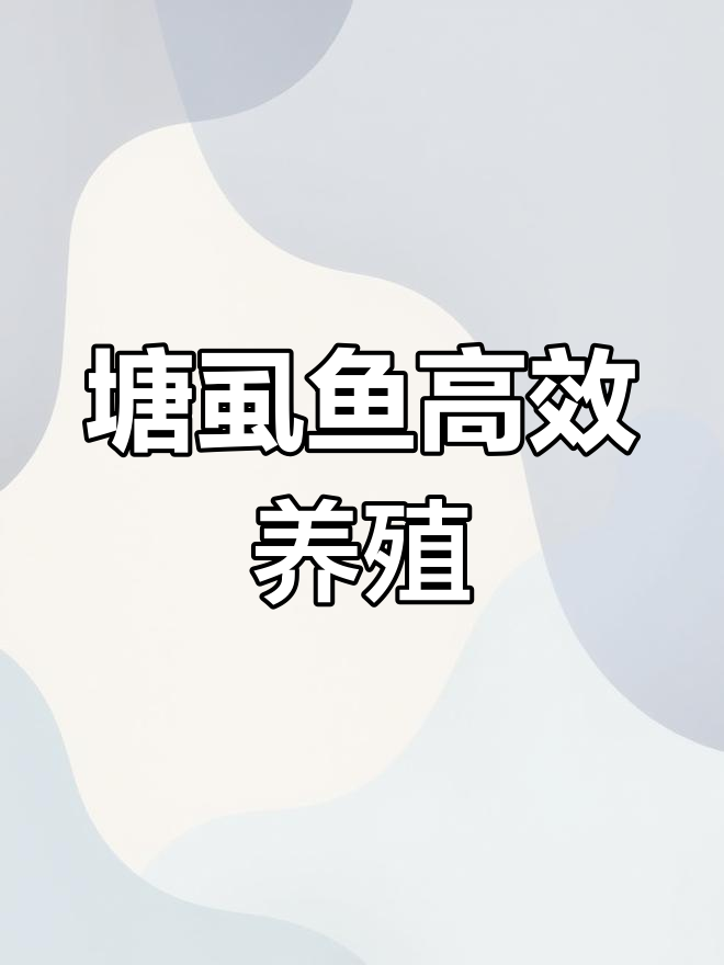 塘虱鱼养殖技巧:高密度管理全攻略