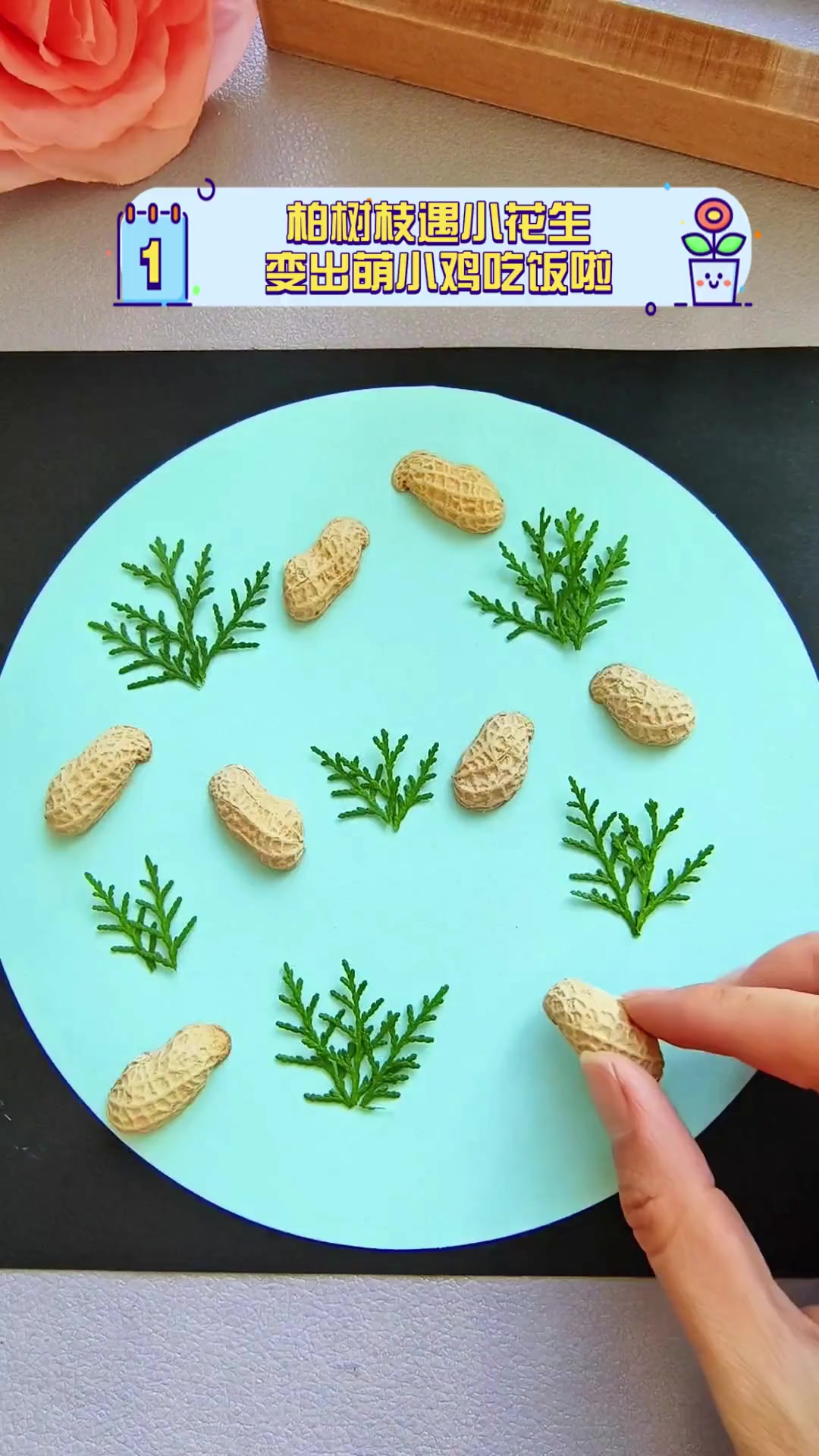 柏树枝遇小花生,变出萌小鸡吃饭啦