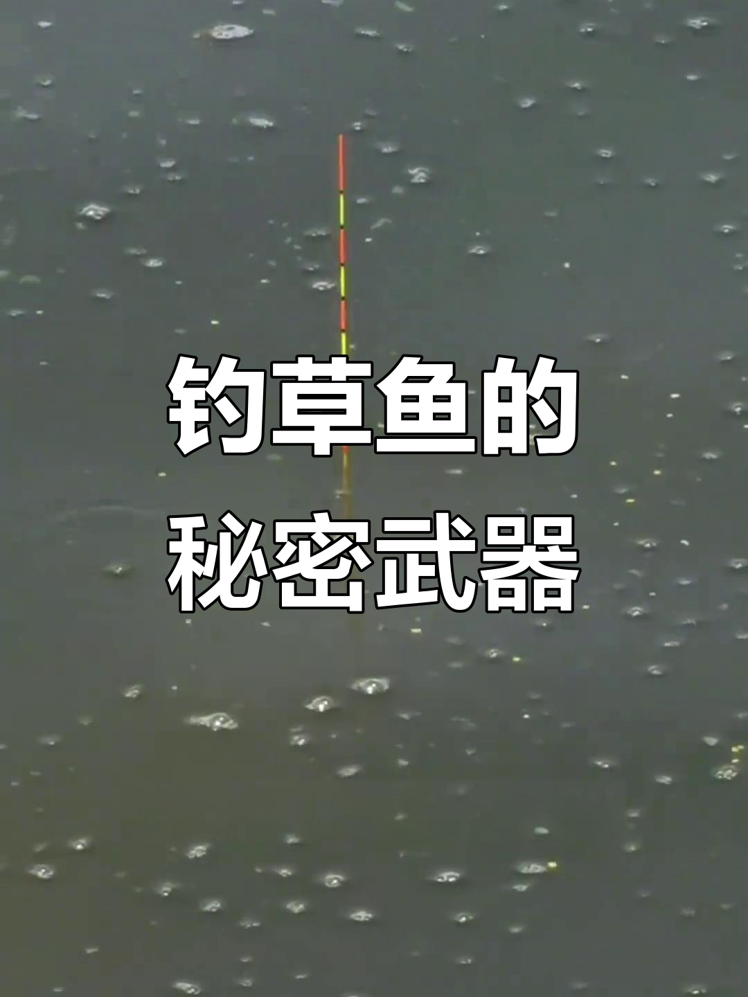 草鱼最爱韭菜饵料,钓鱼必备秘制配方