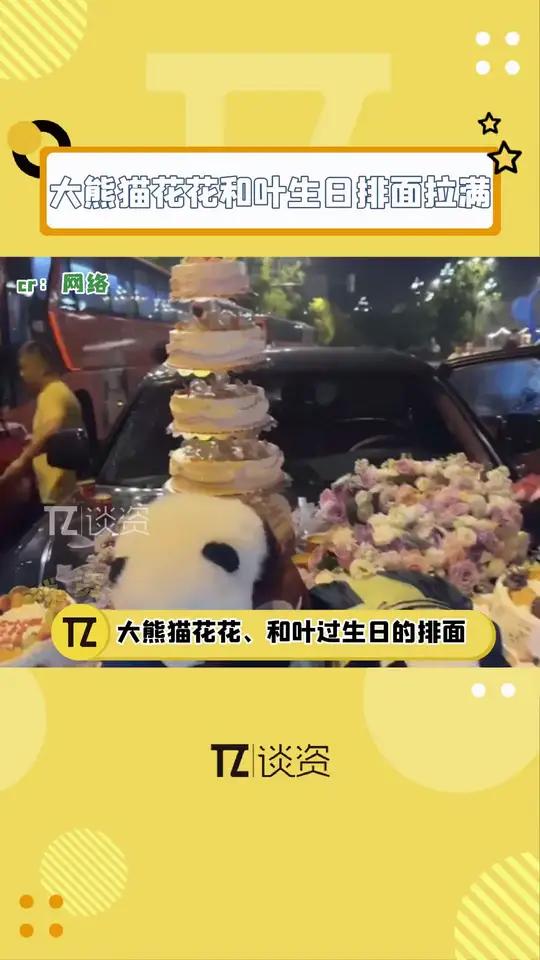 这就是顶流的实力嘛！？大熊猫花花和叶5岁生日的应援太让人震撼了，车队、蛋糕、生日歌还有劳斯