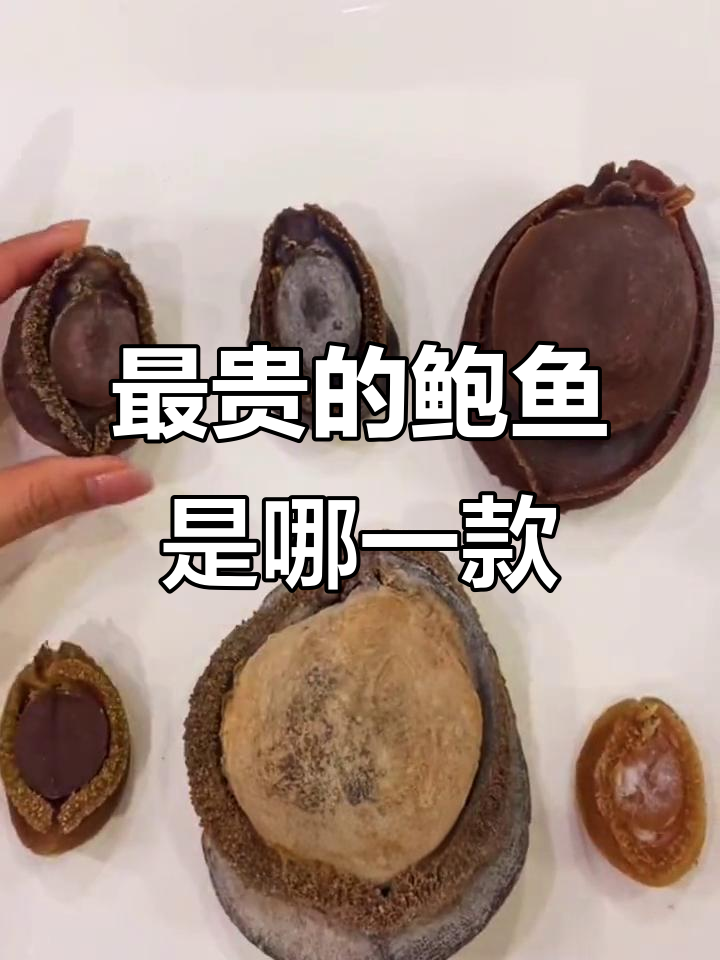 鲍鱼价格大揭秘:从日本极品到大连干鲍,哪款最贵?