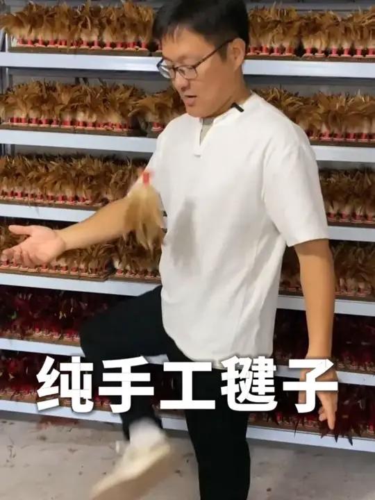 传统手工鸡毛毽子 传统手工鸡毛毽子,一针一线鸡毛毽儿,大公鸡羽毛毽儿。@东方燕 毽子