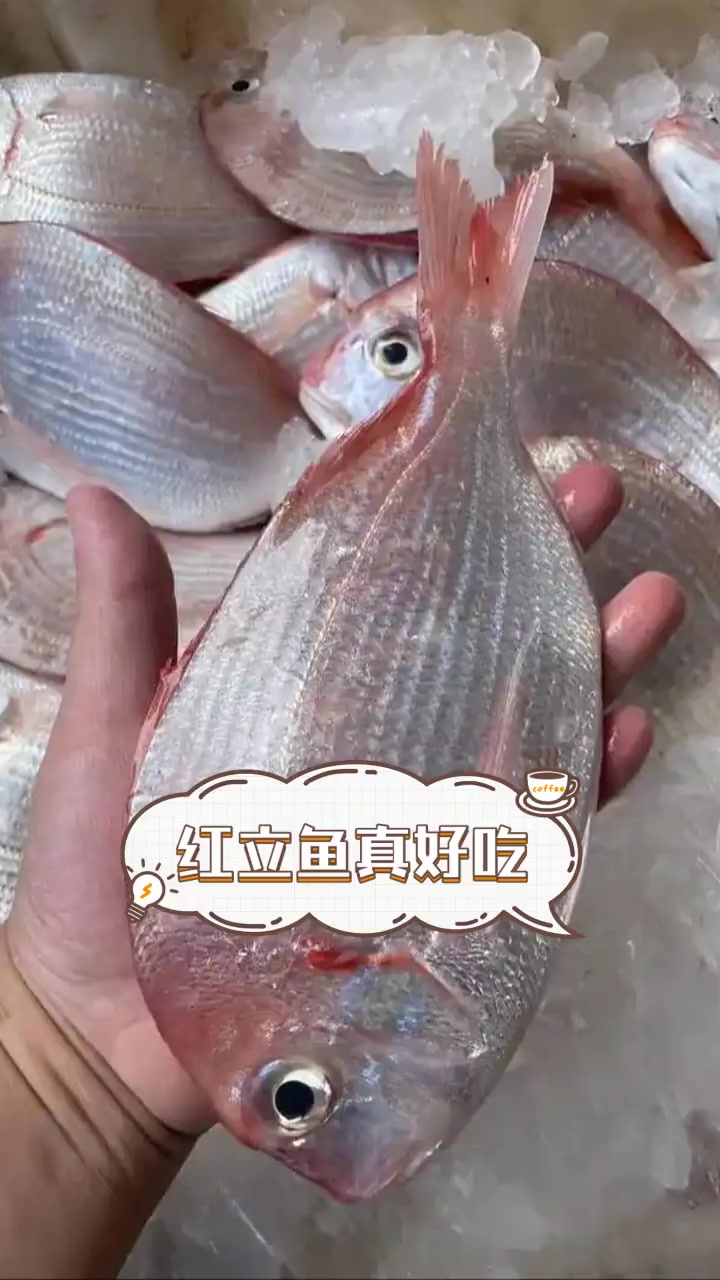 红立鱼真好吃