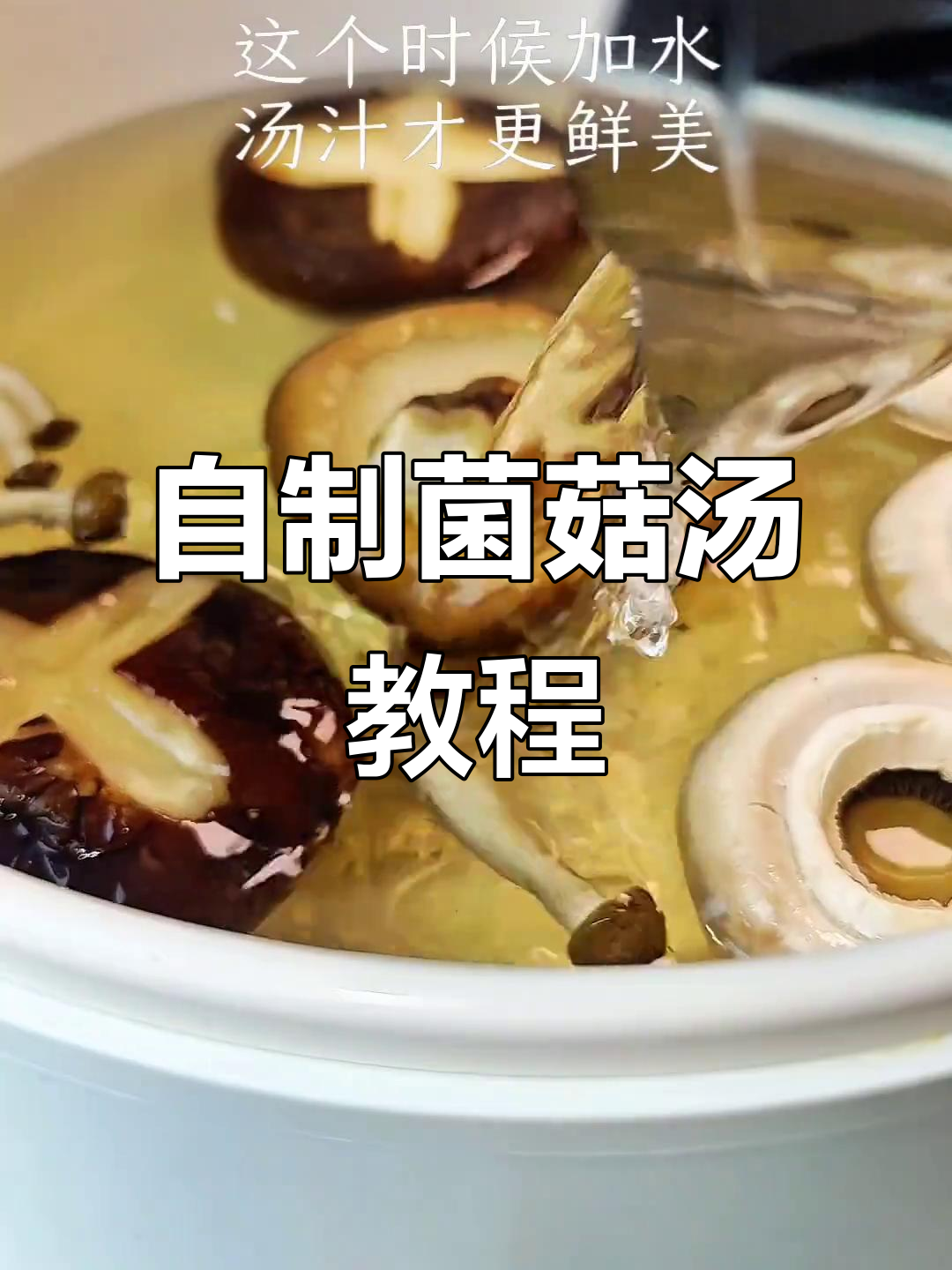 蘑菇汤制作全攻略,健康又美味