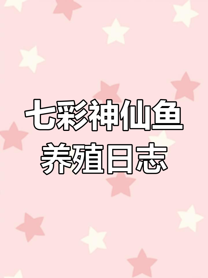 七彩神仙鱼繁殖日记:从第12天到第13天的变化与护理