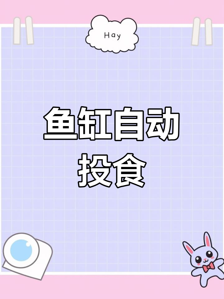 自动喂食器设置教程