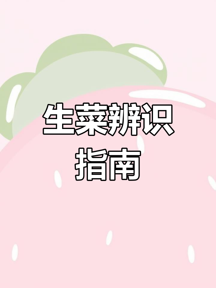 球生菜与包菜的辨别,绿色认证更放心!