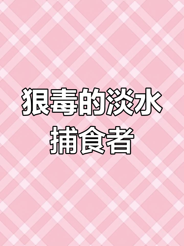 印度巨型坦克鸭嘴:吃人鲶鱼背后的恐怖故事