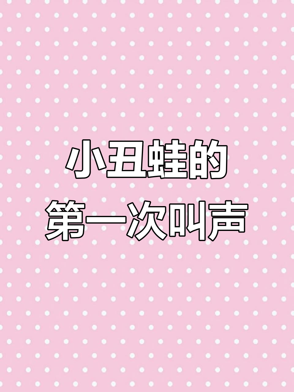 小丑蛙首次发声,屁屁大爆发!