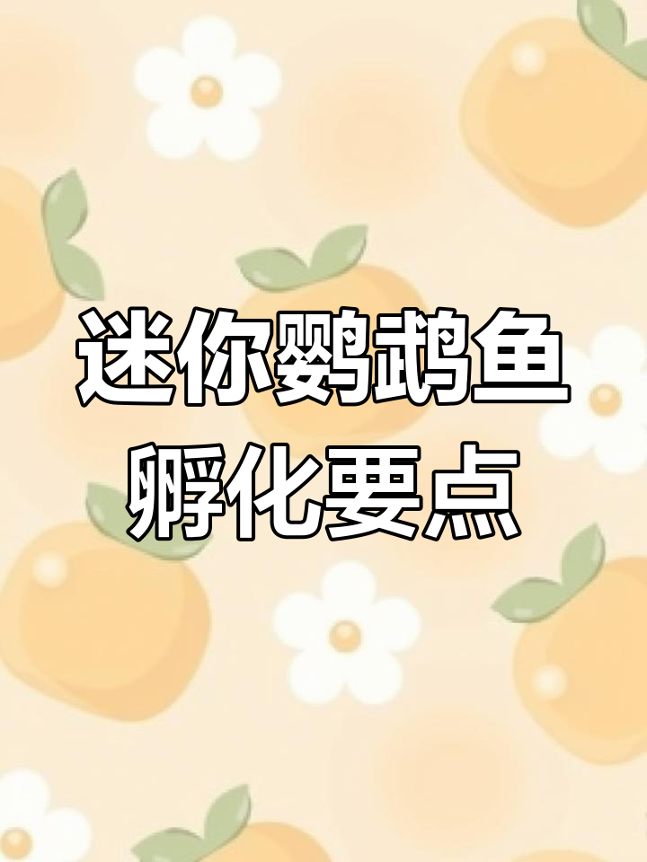 迷你鹦鹉鱼孵化技巧:如何挑选坏卵,让好卵顺利成长