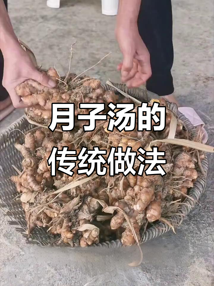 外婆挖黄姜,煲汤给产妇喝,传统月子汤的做法