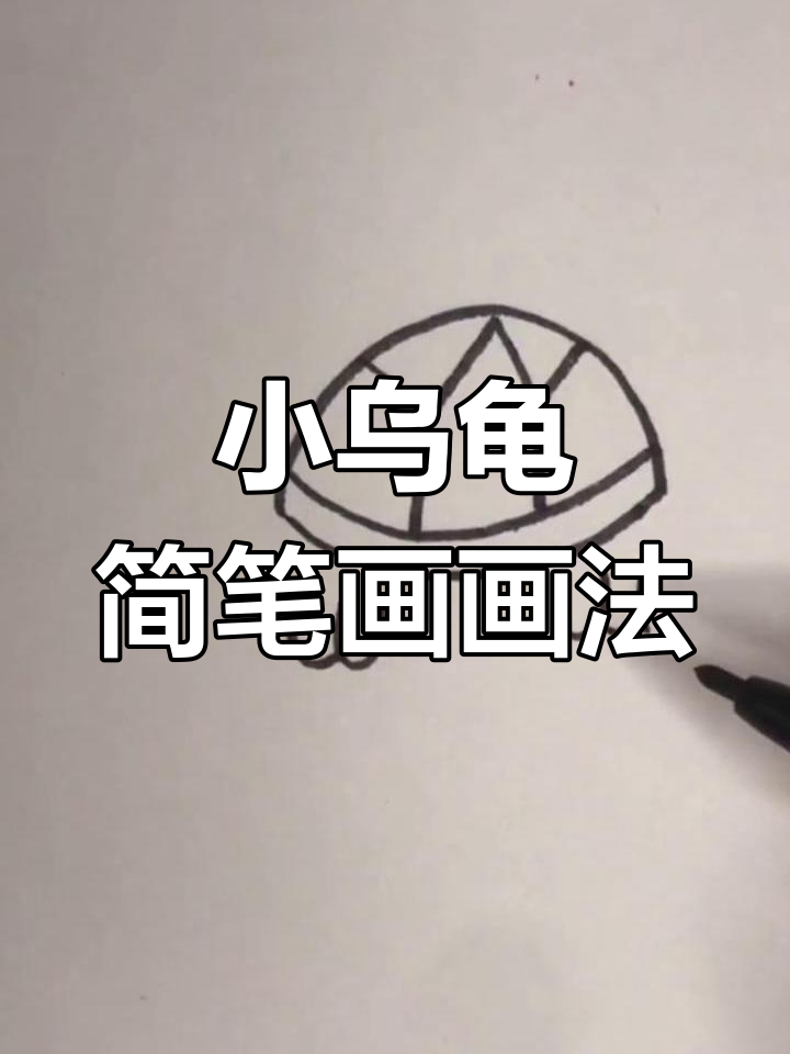 轻松画出彩色小乌龟,零基础也能学会的简笔画!