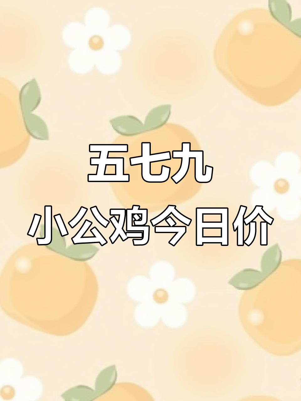2026年1月3日临沂五七九小公鸡价揭秘,白条行情更新