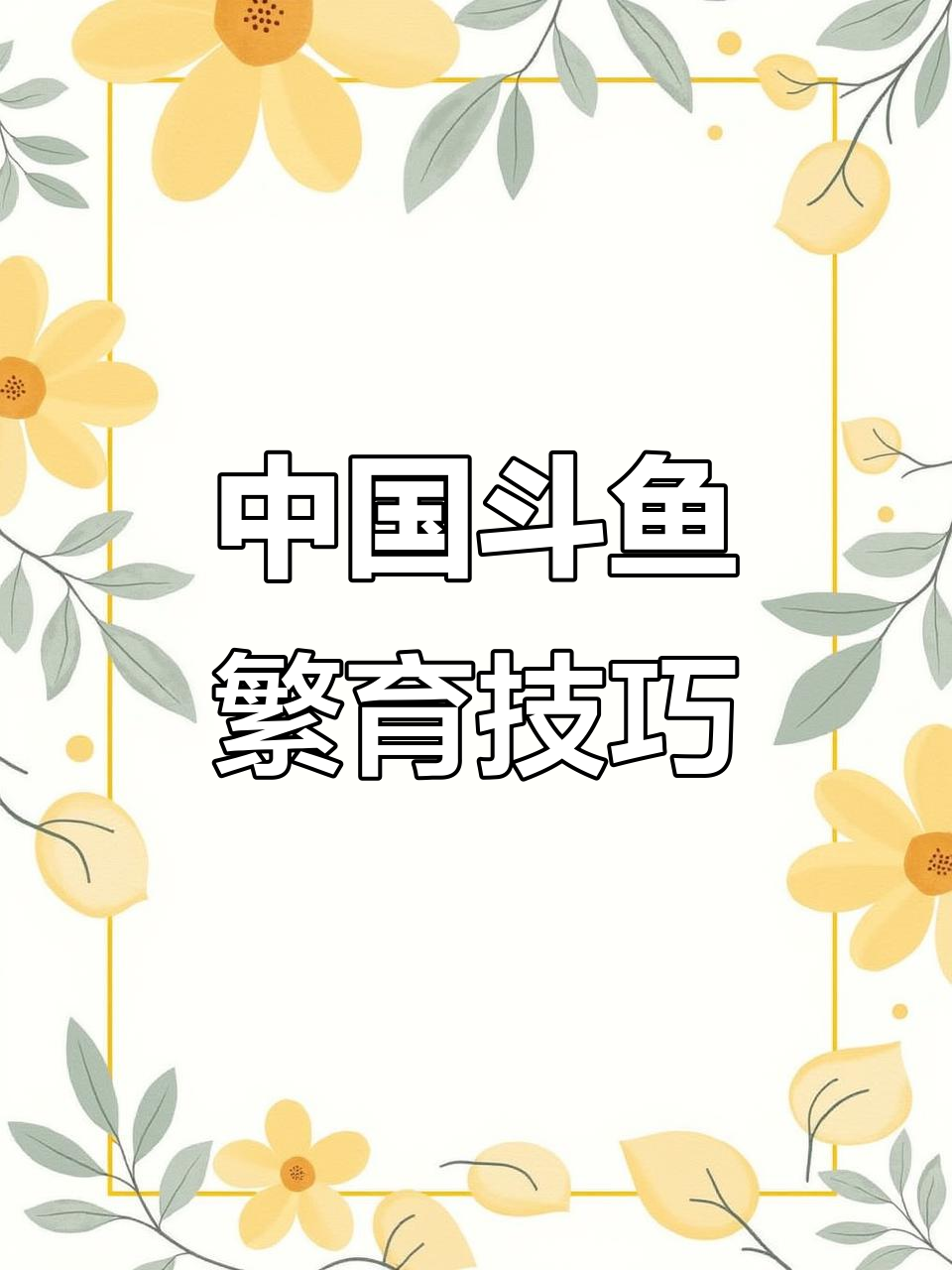 斗鱼繁殖技术揭秘,如何高效养殖普叉