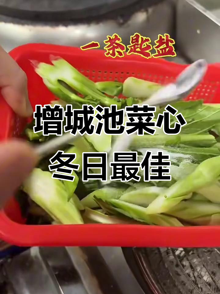 增城迟菜心:冬季最甜美味,清鸡汤煮出完美口感