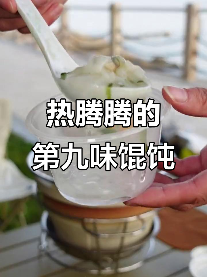 冬季户外露营必备热腾腾老上海馄饨,围炉煮茶享受美味