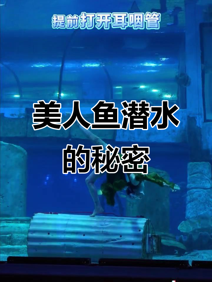 美人鱼潜水如何平衡耳压?揭秘背后的训练与技巧