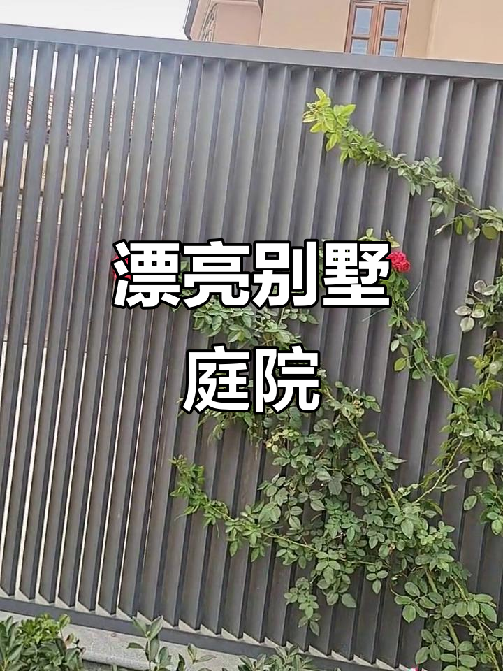 小区一角,别墅花园实景展示