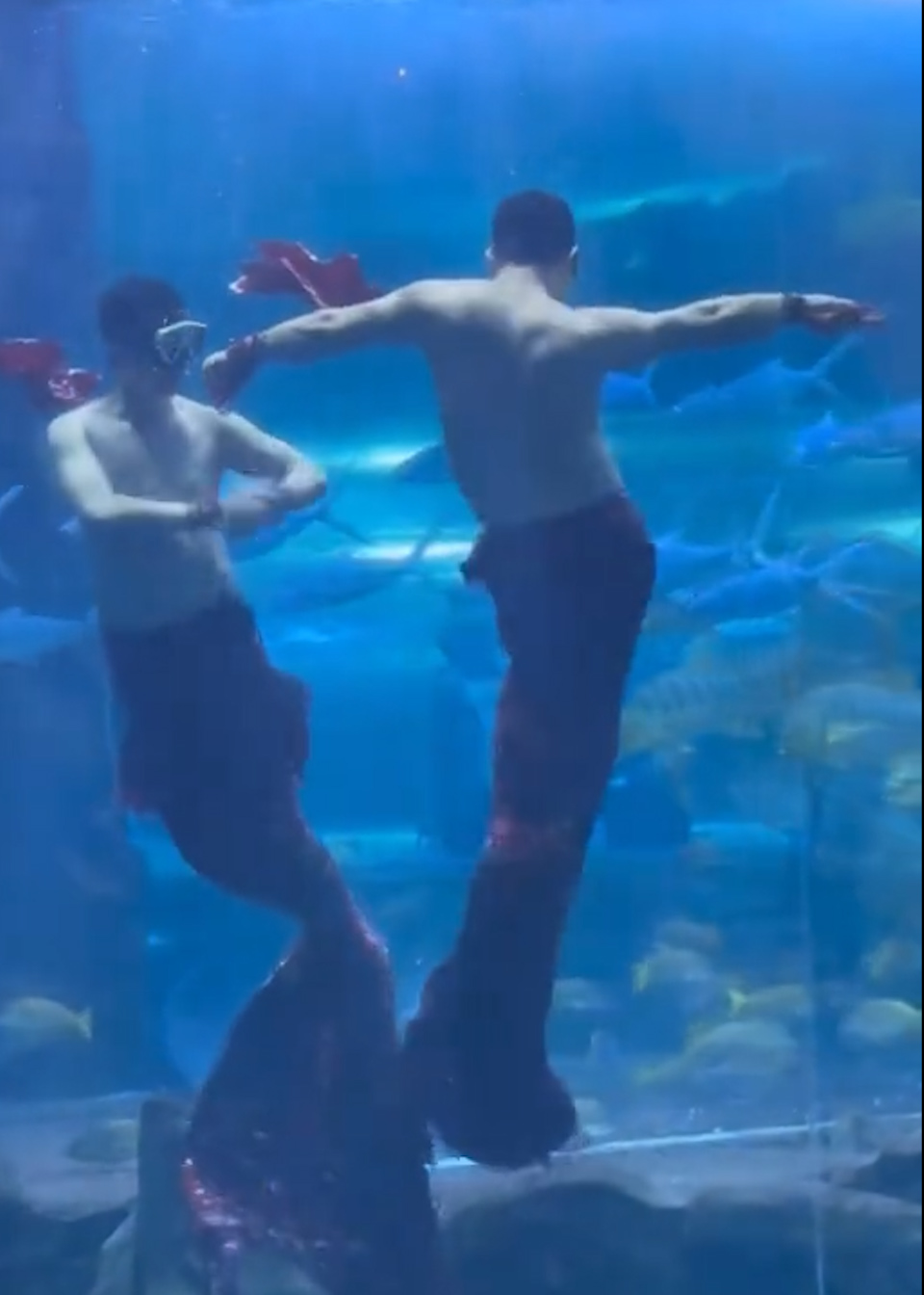 男子扮大花袄美人鱼走红,被馆长用奖金“砸动了”,又秀“腹肌”又摇花手