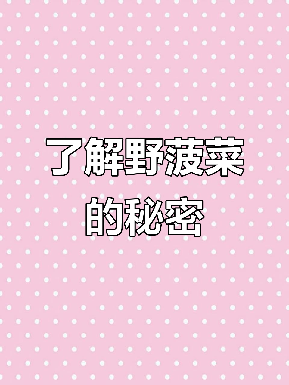农村常见野菠菜,竟有这么多名字!它的根能挖出黄金?