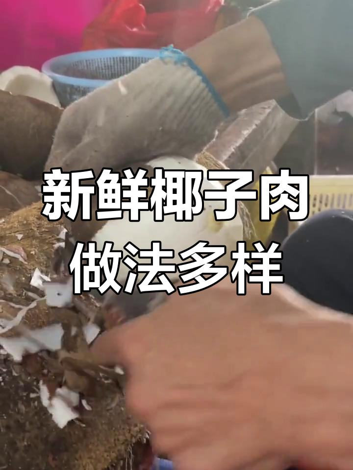 海南特产鲜椰肉,煲汤、榨汁做甜品样样行