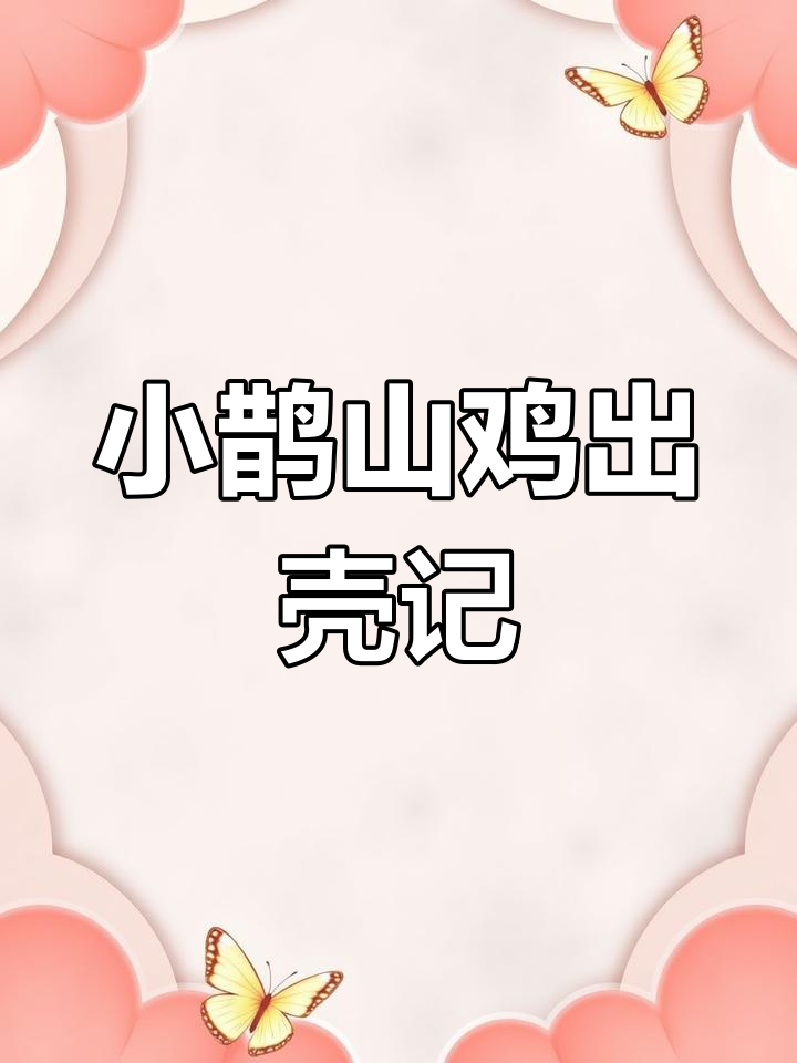 鹊山鸡小苗孵化中,青春与梦想的成长