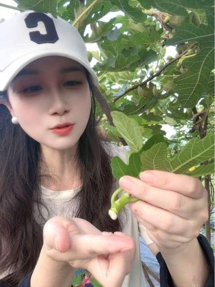 听说无花果汁能脱鱼修子，我做实验不知有用没