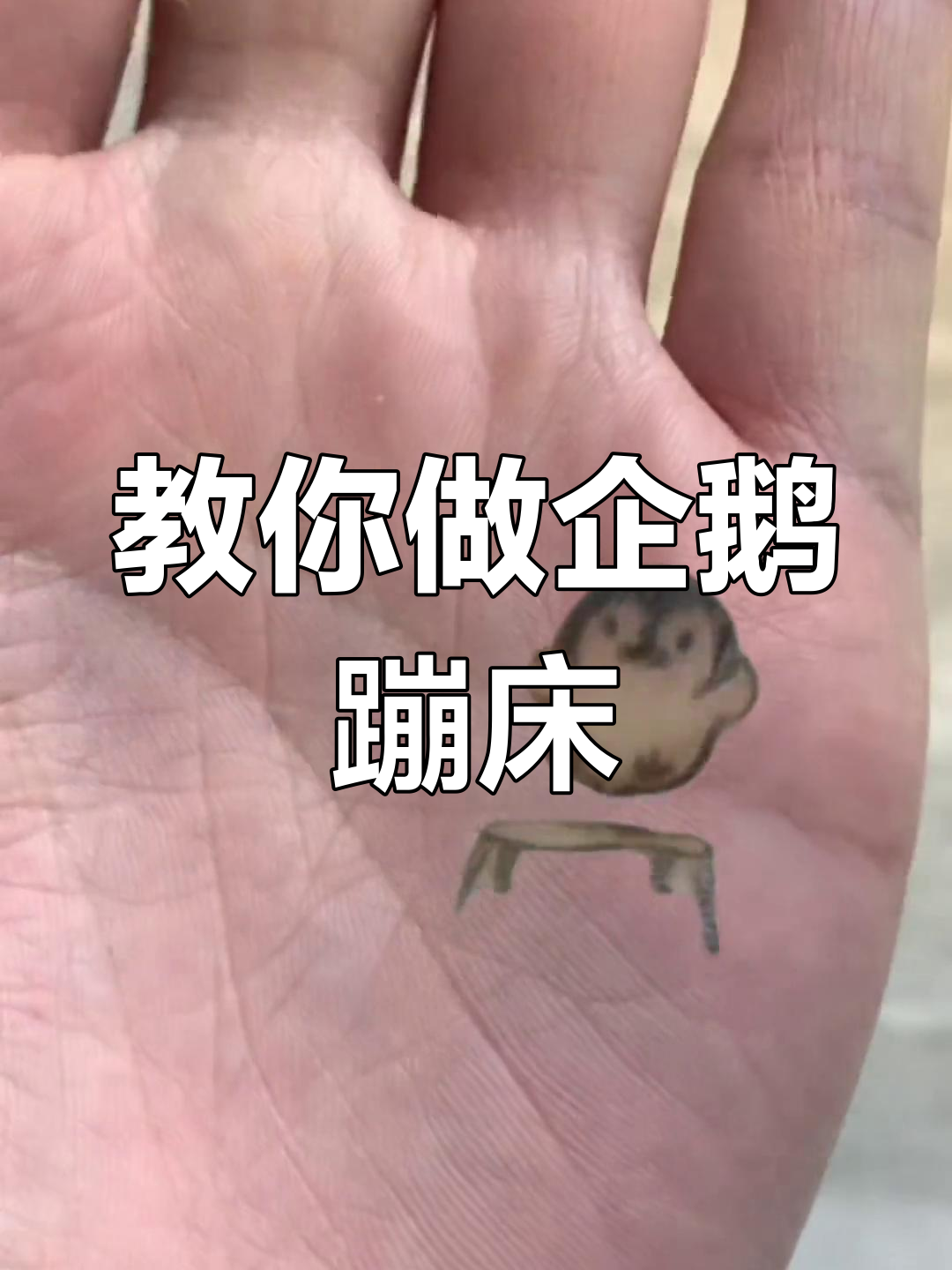 手绘企鹅蹦床,轻松学会制作