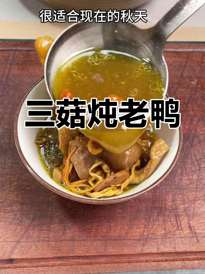 秋季老鸭汤,滋补又美味